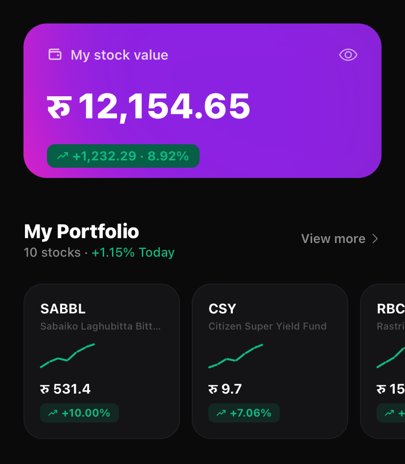 Rumi portfolio dashboard screenshot